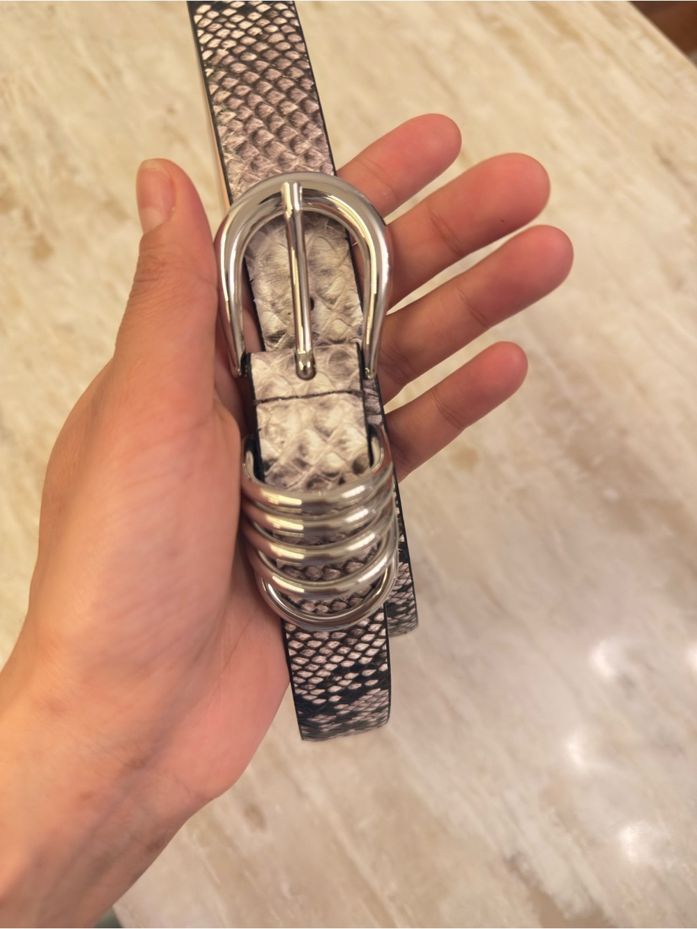 Dehanche Hollyhock Belt in Snake with Silver Hardware - Picture 5 of 13